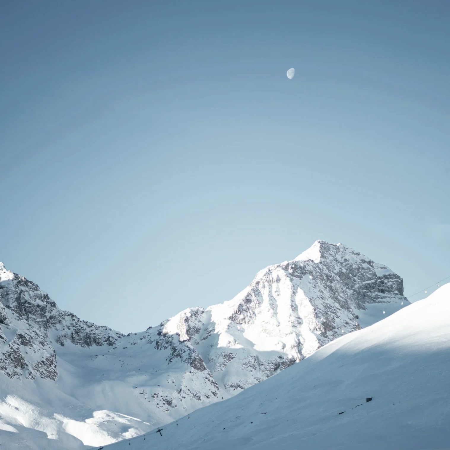 Alpenbos
