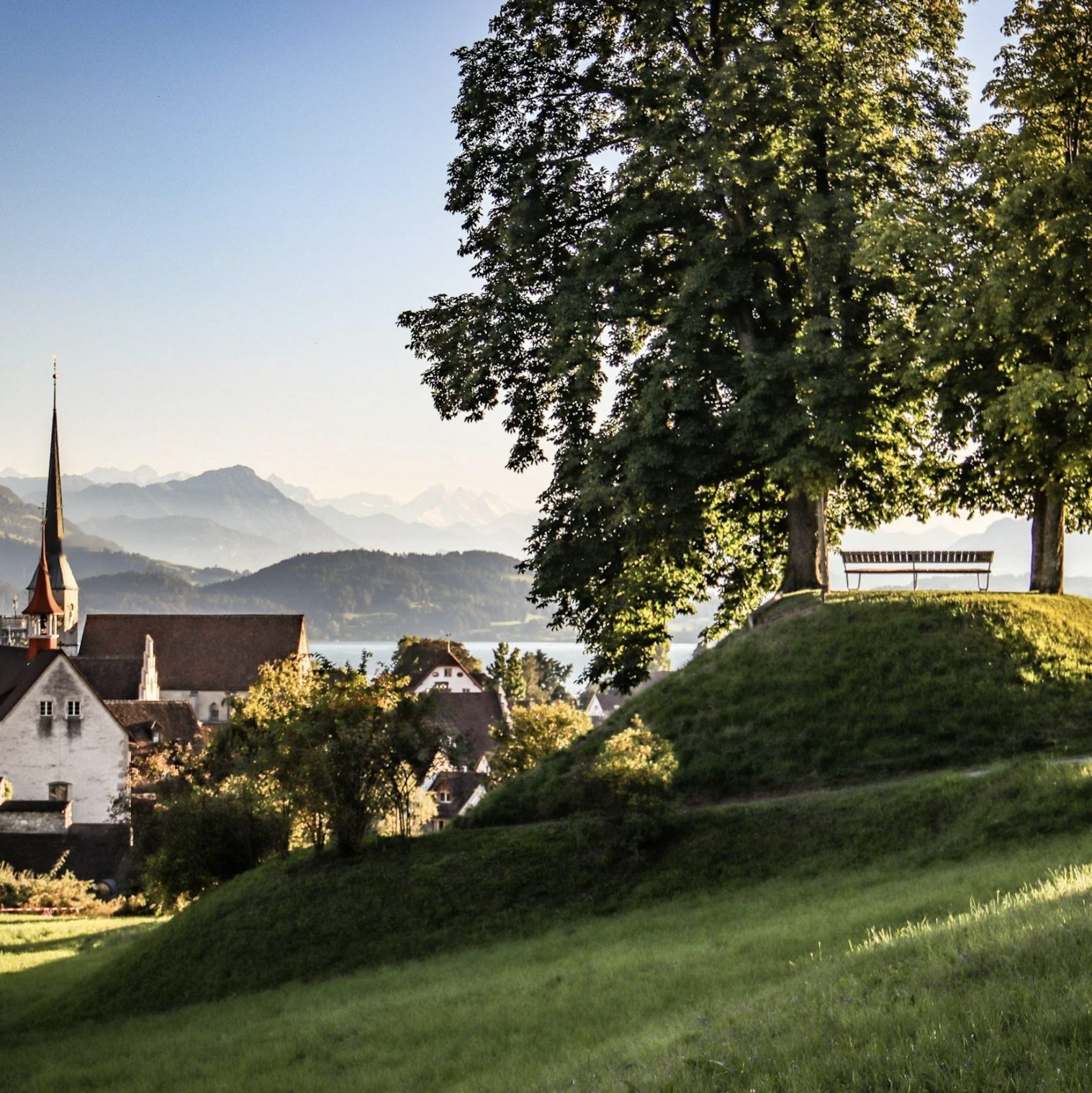 Bergbos